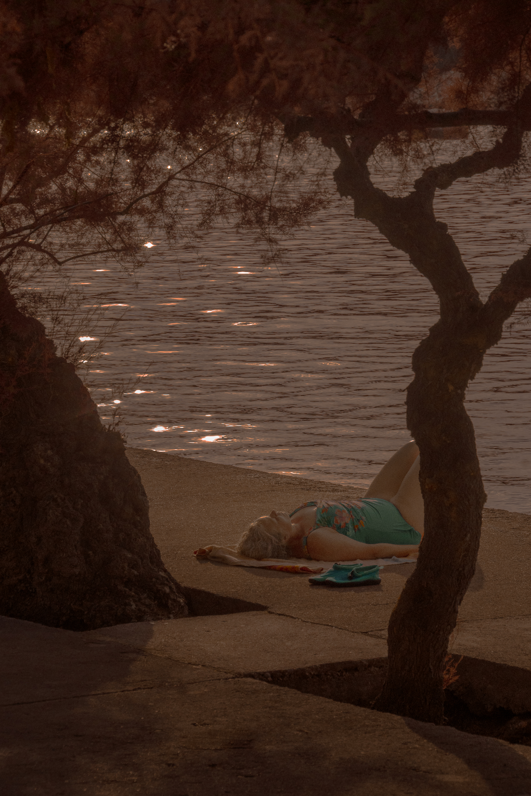 Femme allongée au bord de l'eau, entre deux troncs
