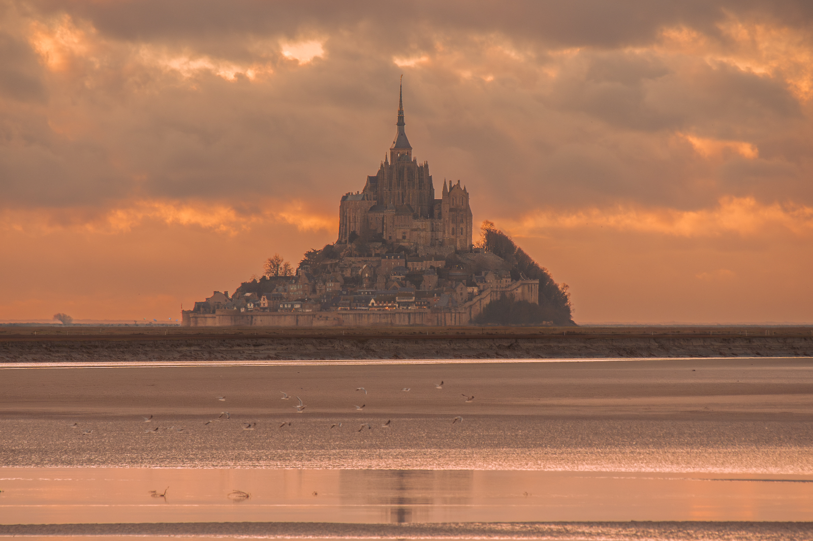 Le Mont-Saint-Michel sous un ciel orangé, goélands sur la baie