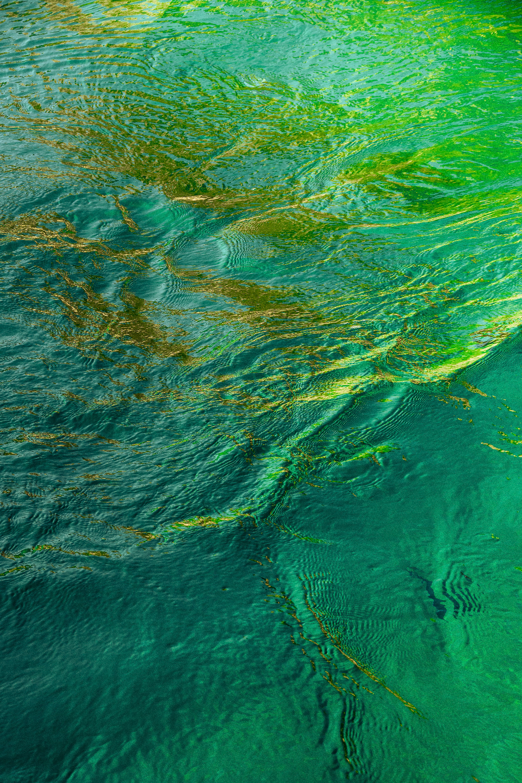 Eau verte et reflets dorés